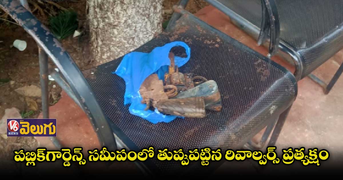 పబ్లిక్⁬గార్డెన్స్ సమీపంలో దొరికిన తుప్పుపట్టిన రివాల్వర్స్ 