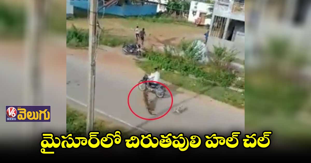 కర్ణాటకలో చిరుతపులి దాడి..ముగ్గురికి గాయాలు
