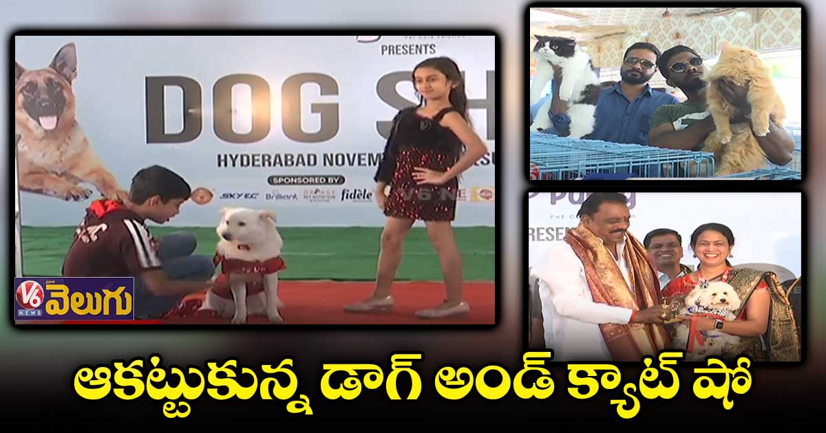 బండ్లగూడలో డాగ్స్ తో ర్యాంప్ వాక్ చేసిన పెట్ లవర్స్