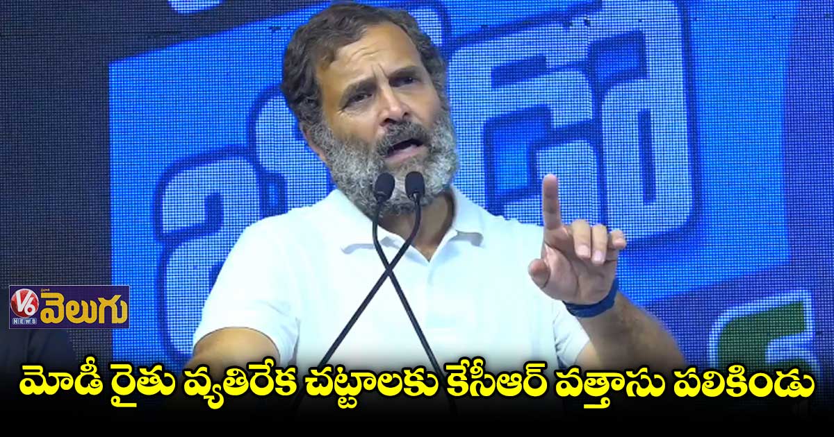 బీజేపీ ఆర్ఎస్ఎస్ సంస్థగా మారింది: రాహుల్ గాంధీ
