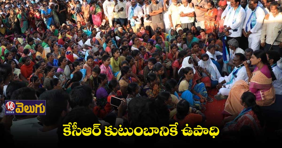 ఉద్యోగాల్లేక యువత ఆత్మహత్యలు చేసుకుంటున్నరు: షర్మిల
