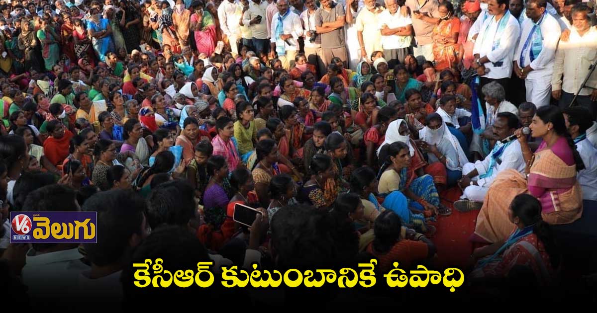 ఉద్యోగాల్లేక యువత ఆత్మహత్యలు చేసుకుంటున్నరు: షర్మిల 