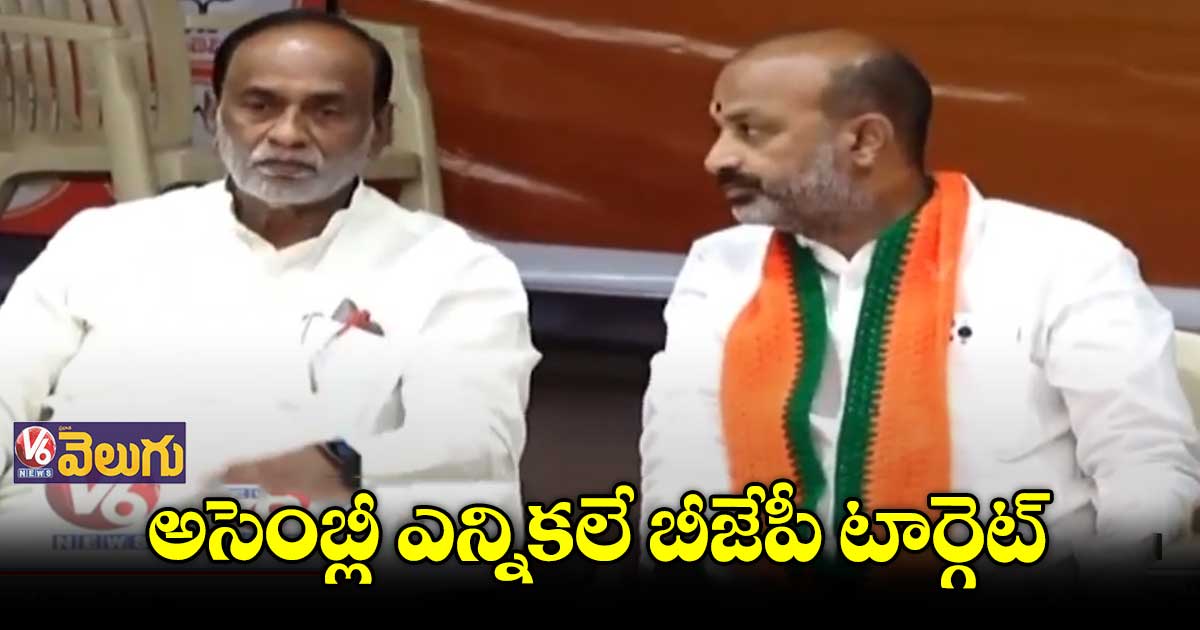 వచ్చే  అసెంబ్లీ ఎన్నికలపై  బీజేపీ కసరత్తు