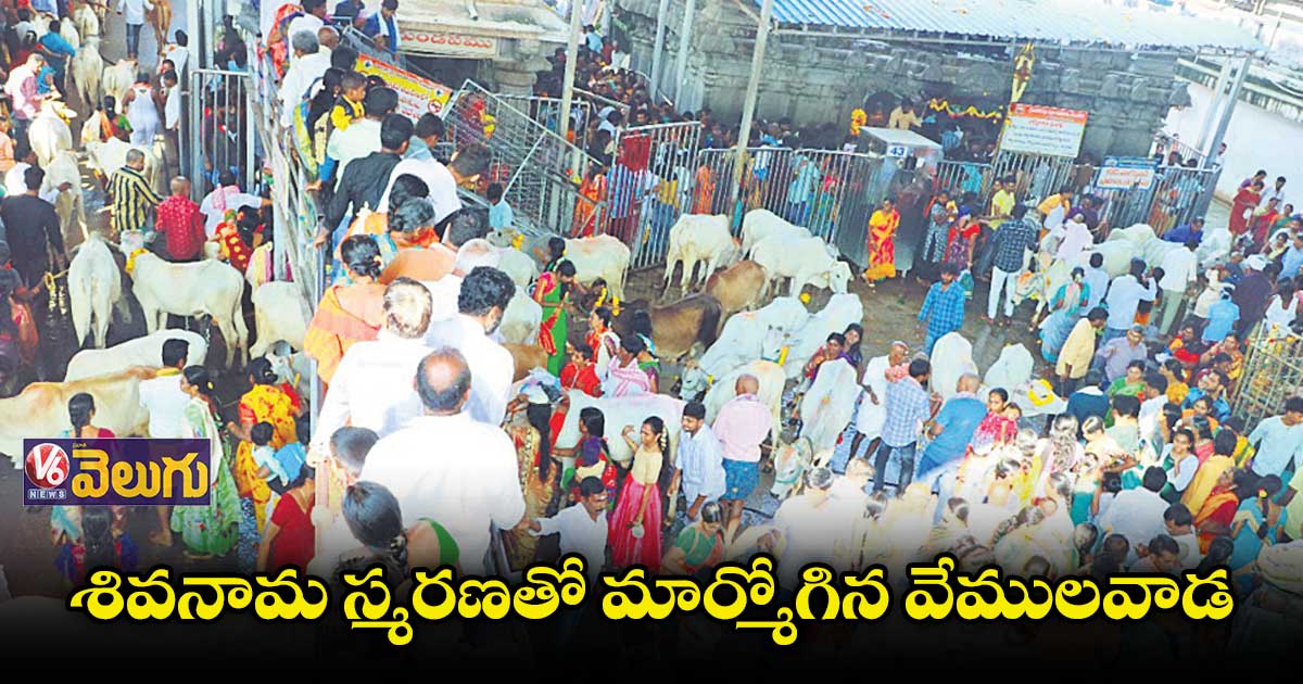 కిక్కిరిసిన వేములవాడ రాజరాజేశ్వరస్వామి ఆలయం