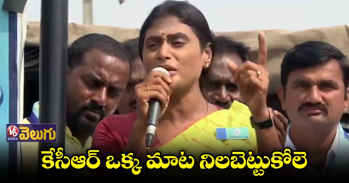 ఇంట్లో ఆసరాగా ఉంటనని ఒక్కరికే పెన్షన్ ఇస్తే ఎలా..? : వైఎస్ షర్మిల
