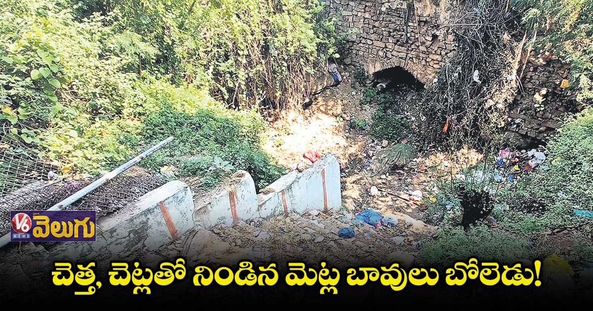 చెత్త, చెట్లతో నిండిన మెట్ల బావులు బోలెడు!