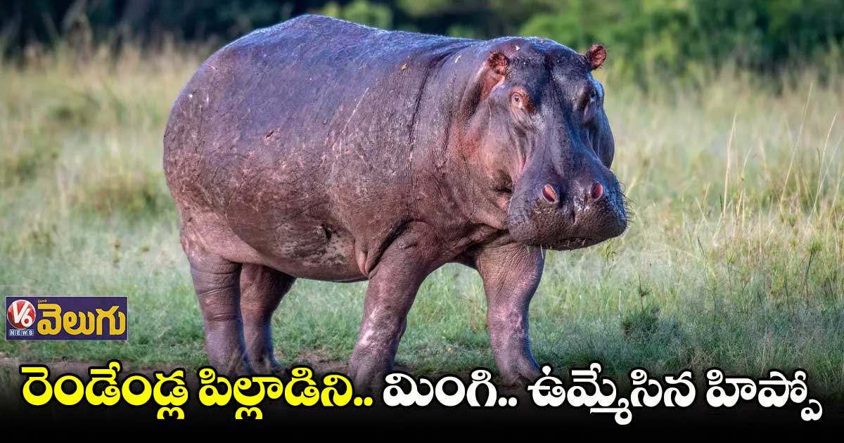 ఉగాండాలో బతికి బయటపడ్డ చిన్నారి