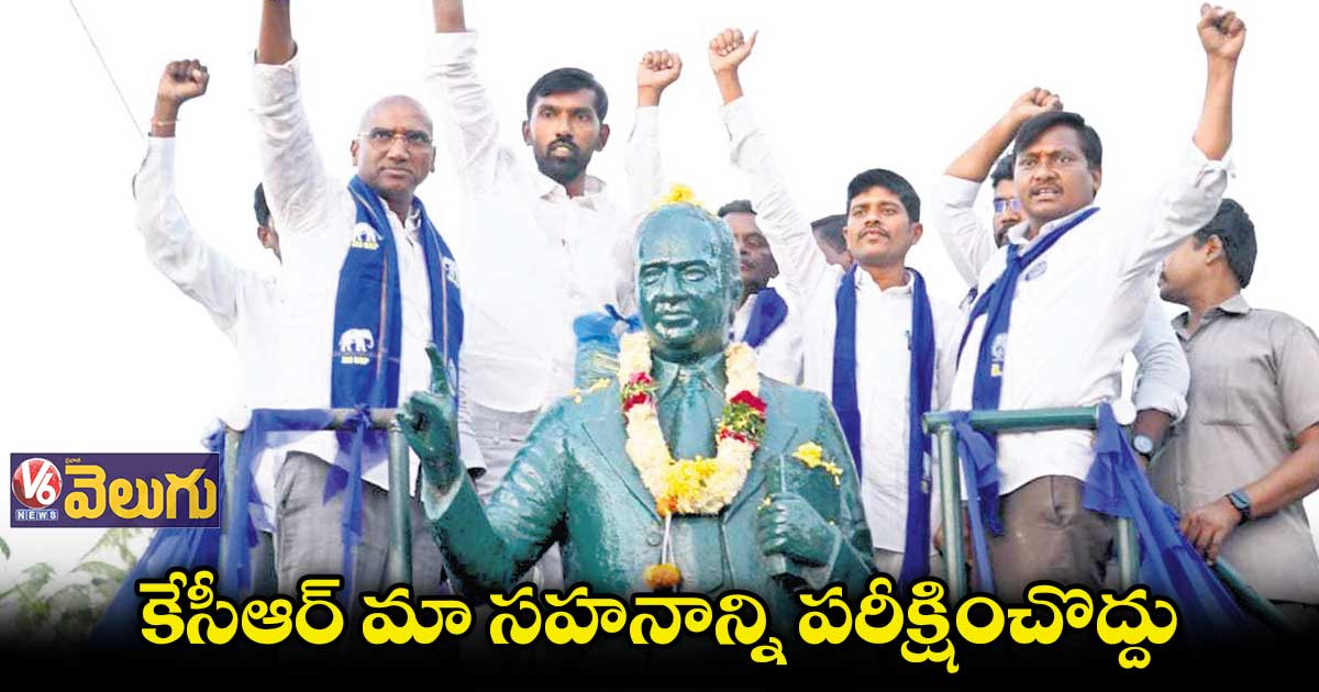 మానకొండూరులో నీలిజెండా ఎగరేస్తాం