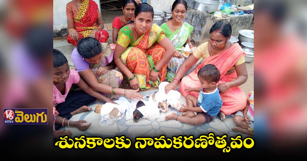 జగిత్యాలలో వింత సంఘటన.. శునకానికి పురుడు