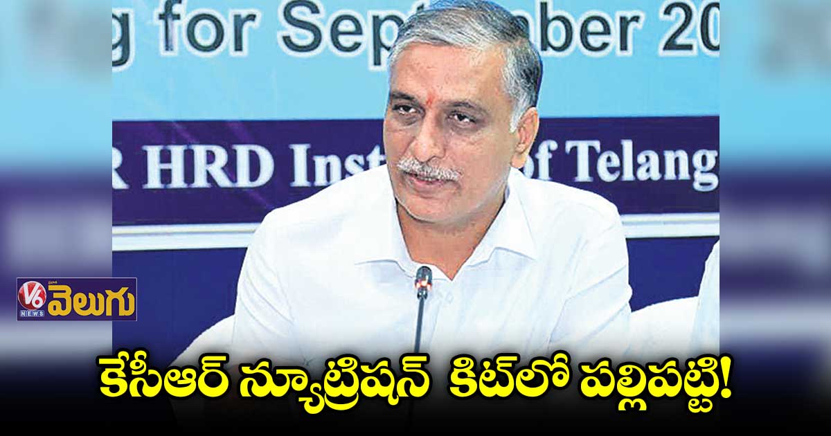 కేసీఆర్ న్యూట్రిషన్ కిట్లో పల్లిపట్టి! మంత్రి హరీశ్ నిర్ణయం
