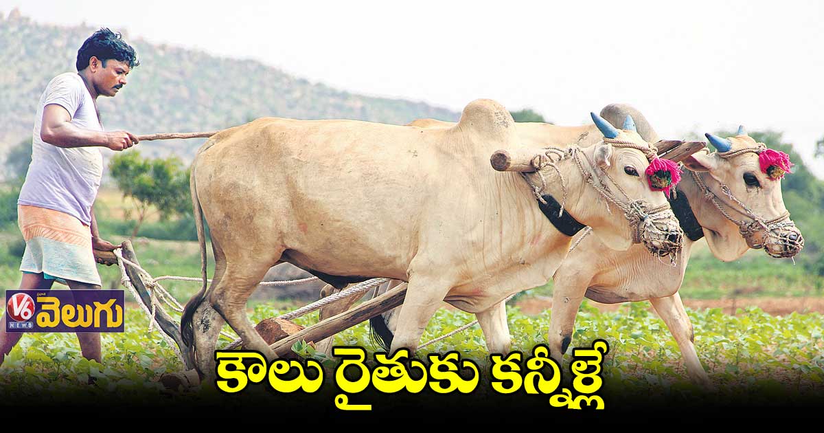 కౌలు రైతును గుర్తించని తెలంగాణ ప్రభుత్వం
