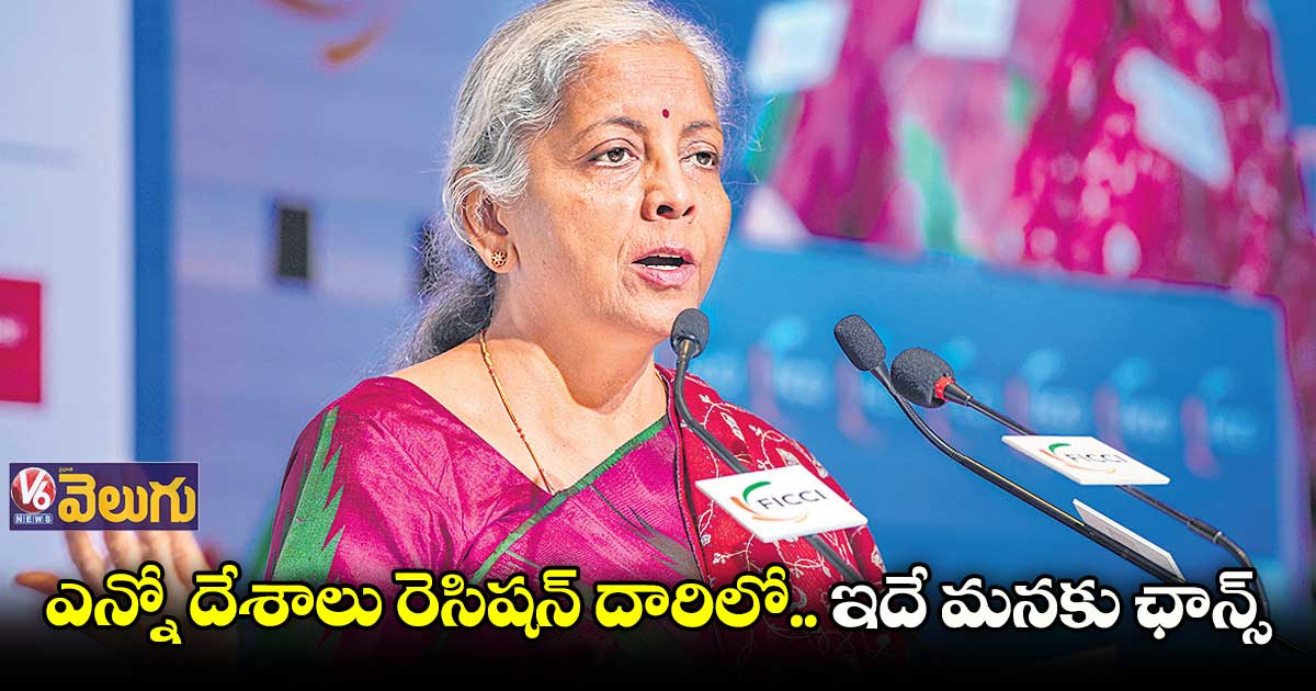 విదేశీ పెట్టుబడుల కోసం స్ట్రాటజీ అవసరం: నిర్మలా సీతారామన్