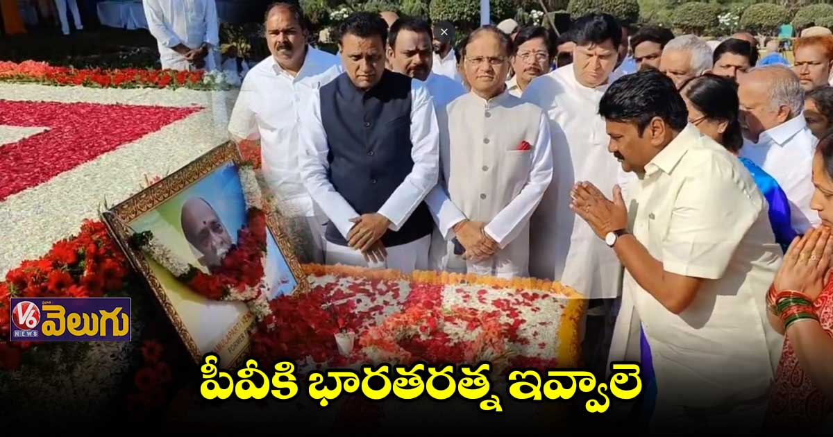 ఏ స్థాయికి ఏదిగినా ఒదిగి ఉండడం పీవీకే సొంతం : మంత్రి తలసాని