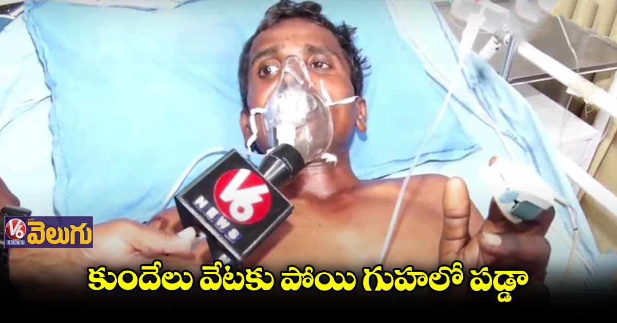 కుందేలు వేటకు పోయి గుహలో పడ్డ: రాజు