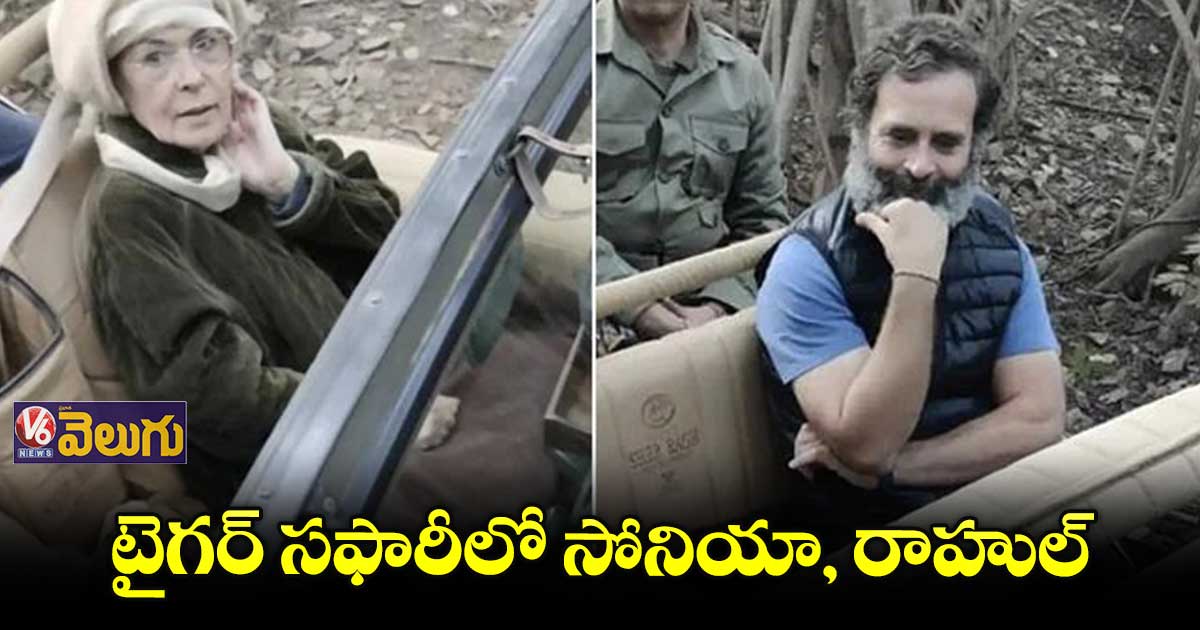 రణ్ థంబోర్ టైగర్ సఫారీలో సోనియా, రాహుల్ టూర్