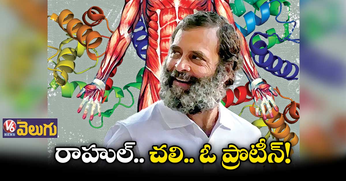 రాహుల్.. చలి.. ఓ ప్రొటీన్! : హన్మిరెడ్డి యెద్దుల