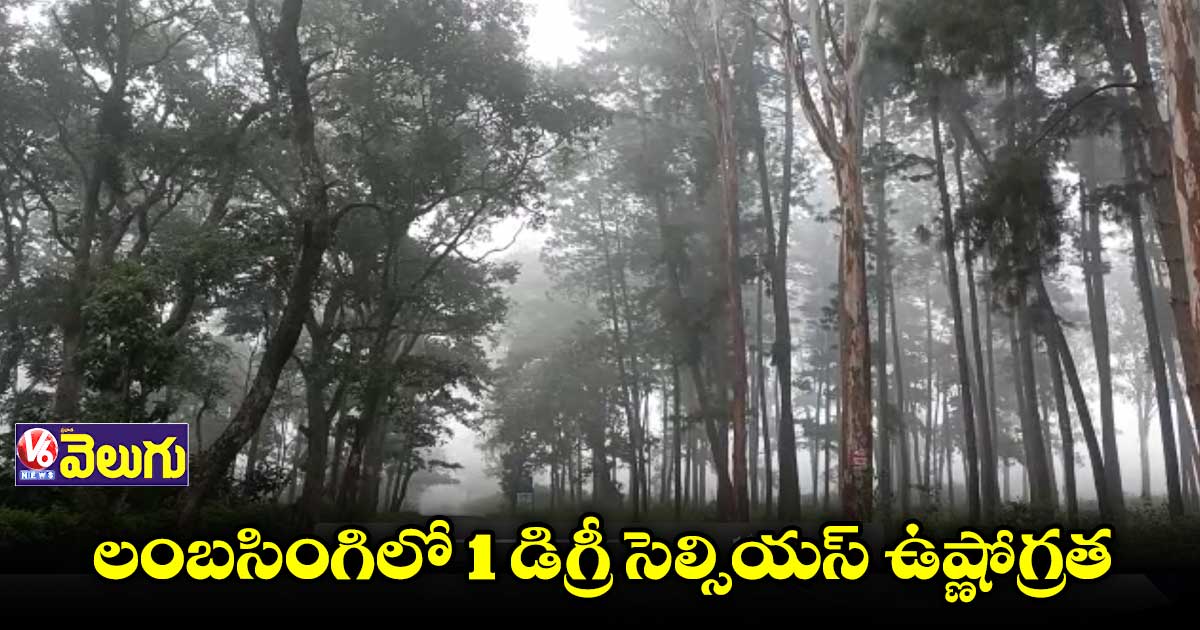 లంబసింగిలో భారీగా పడిపోయిన ఉష్ణోగ్రత