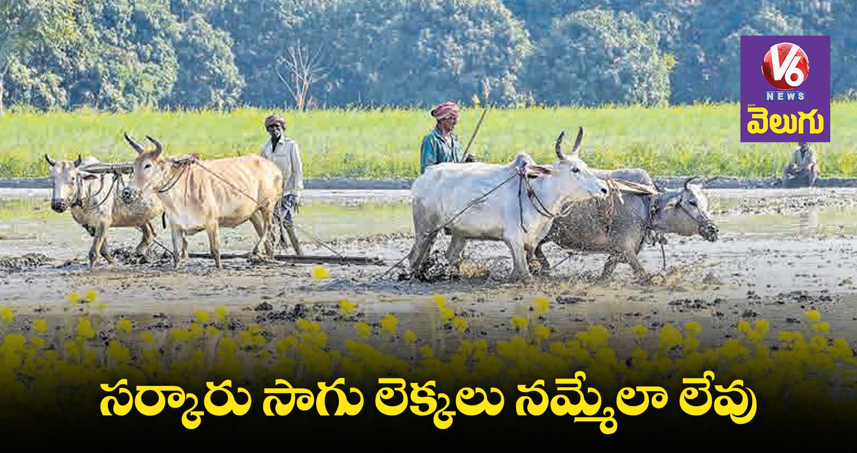 సర్కారు సాగు లెక్కలు నమ్మేలా లేవు