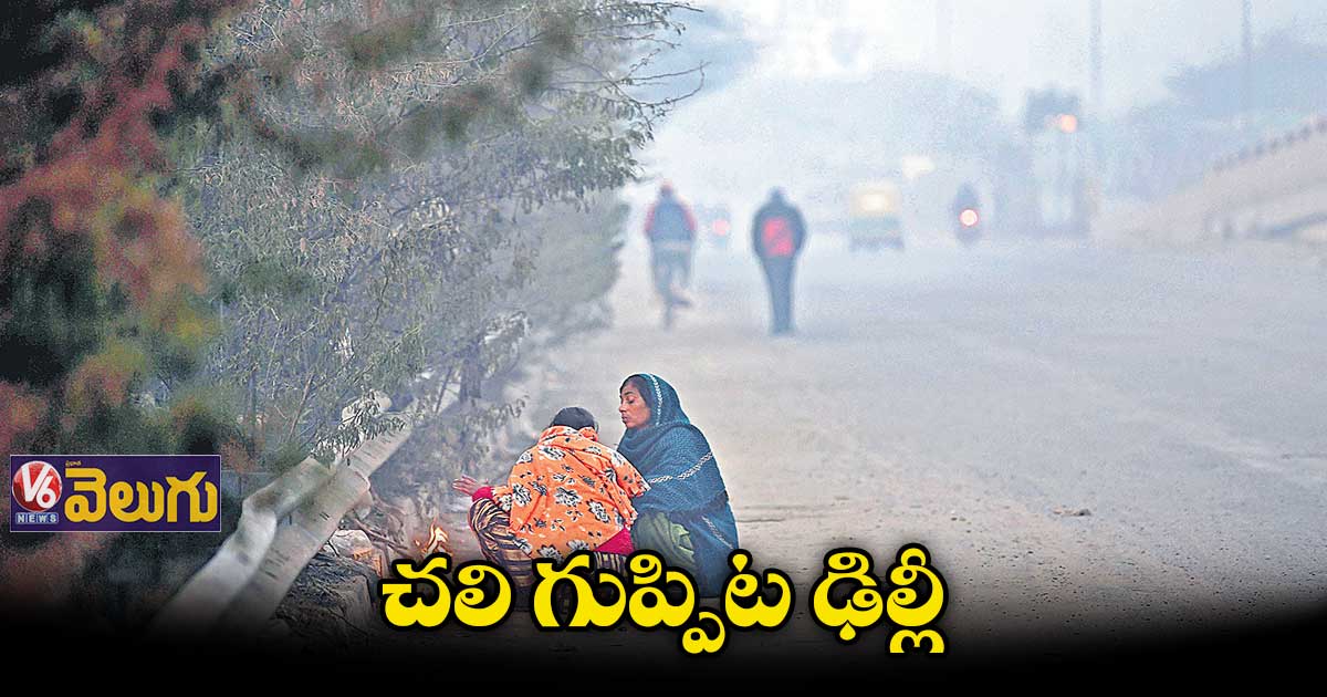 చలి గుప్పిట ఢిల్లీ