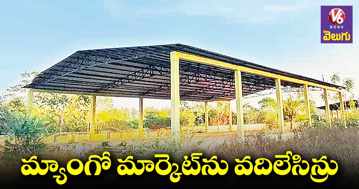 మామిడి పంటలు అమ్ముకునేందుకు మార్కెటింగ్ సౌకర్యం లేదు