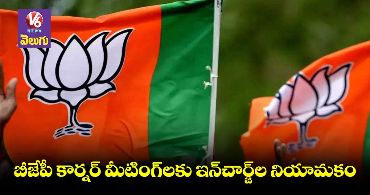 అసెంబ్లీ నియోజకవర్గాల వారీగా ఇన్ చార్జ్ల ఖరారు