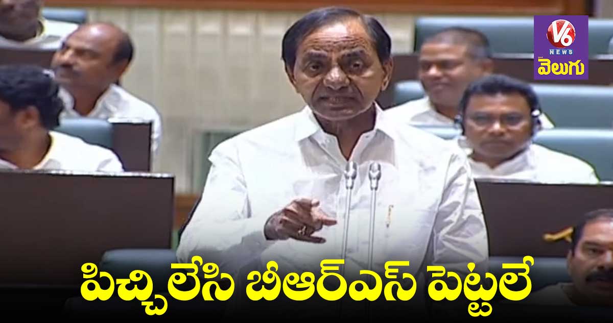 మోడీ పాలనతో విసిగిపోయి బీఆర్ఎస్ పెట్టినం : కేసీఆర్ 