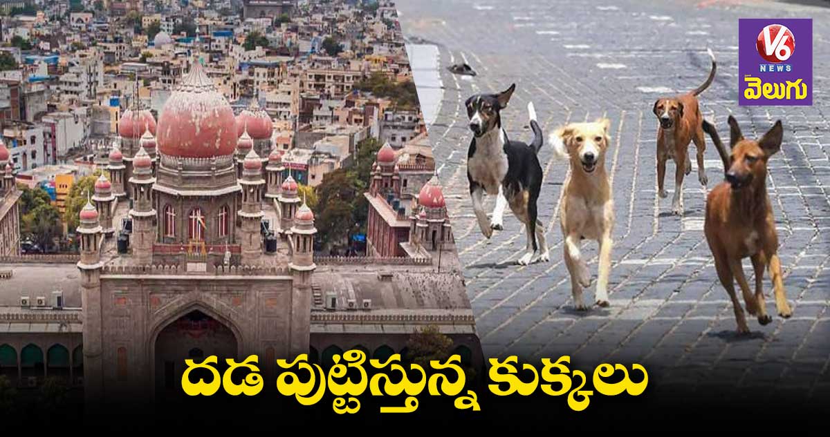 కుక్కల దాడి ఘటనపై ఇయ్యాల హైకోర్టులో విచారణ