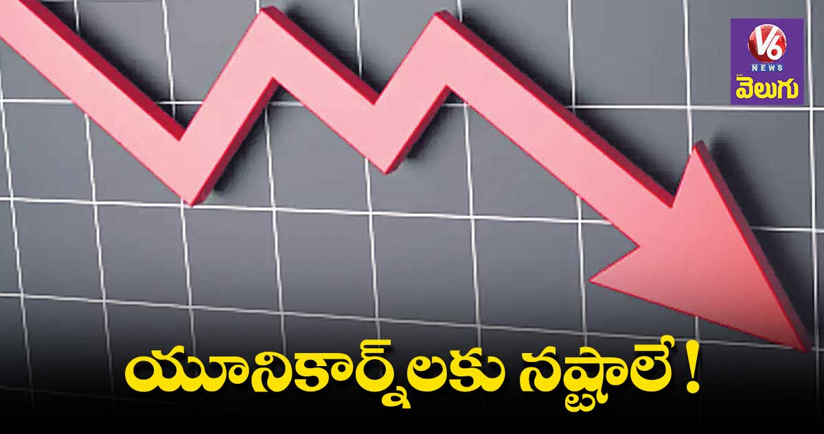 యూనికార్న్‌‌‌‌‌‌‌‌లకు నష్టాలే!