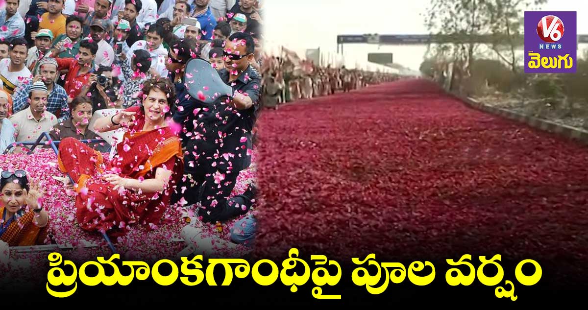 6 టన్నుల గులాబీలతో ప్రియాంకకు స్వాగతం