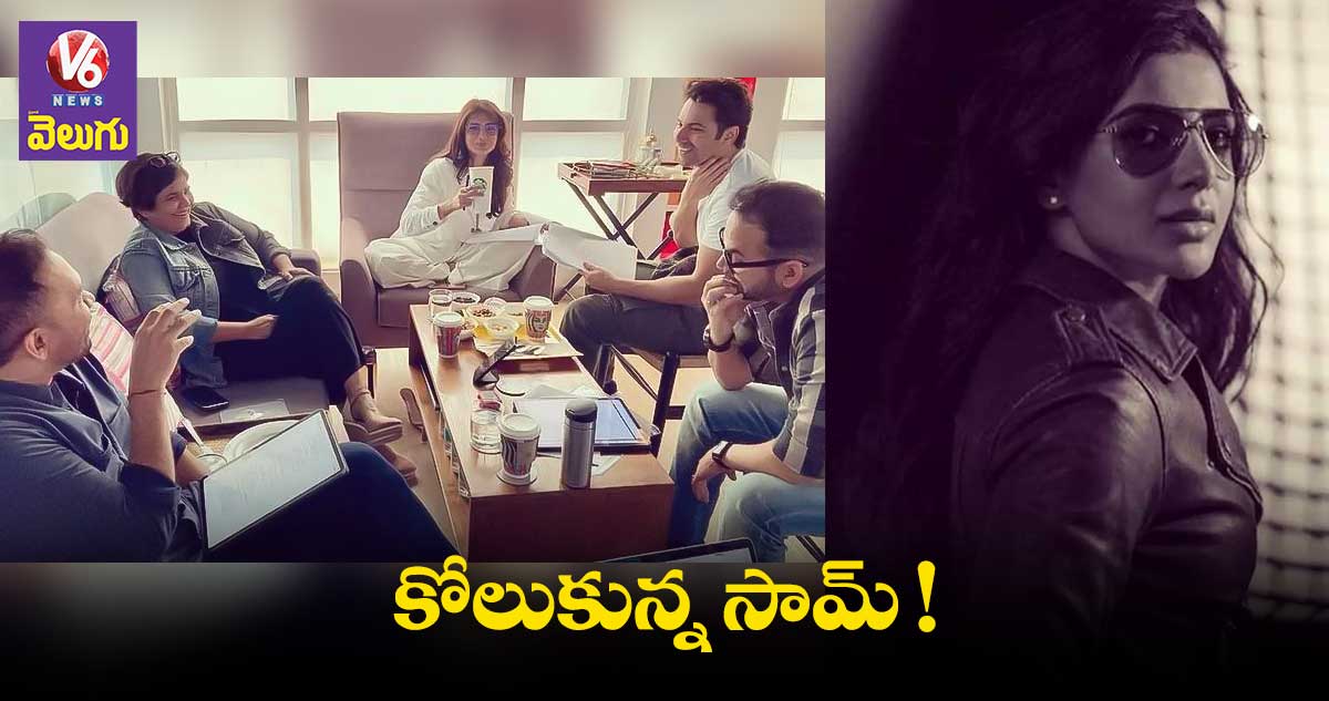 మళ్లీ సినిమాలతో బిజీ కానున్న సామ్ !