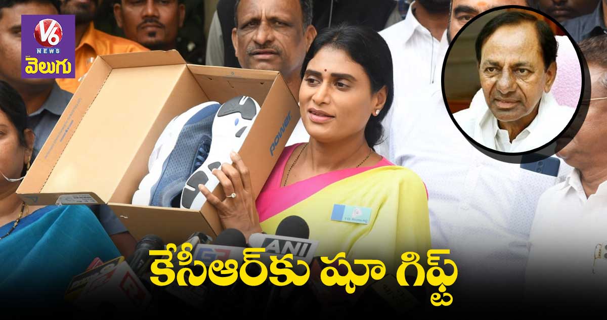 కేసీఆర్ నాతో పాదయాత్ర చెయ్..నీకు షూ గిఫ్ట్: షర్మిల