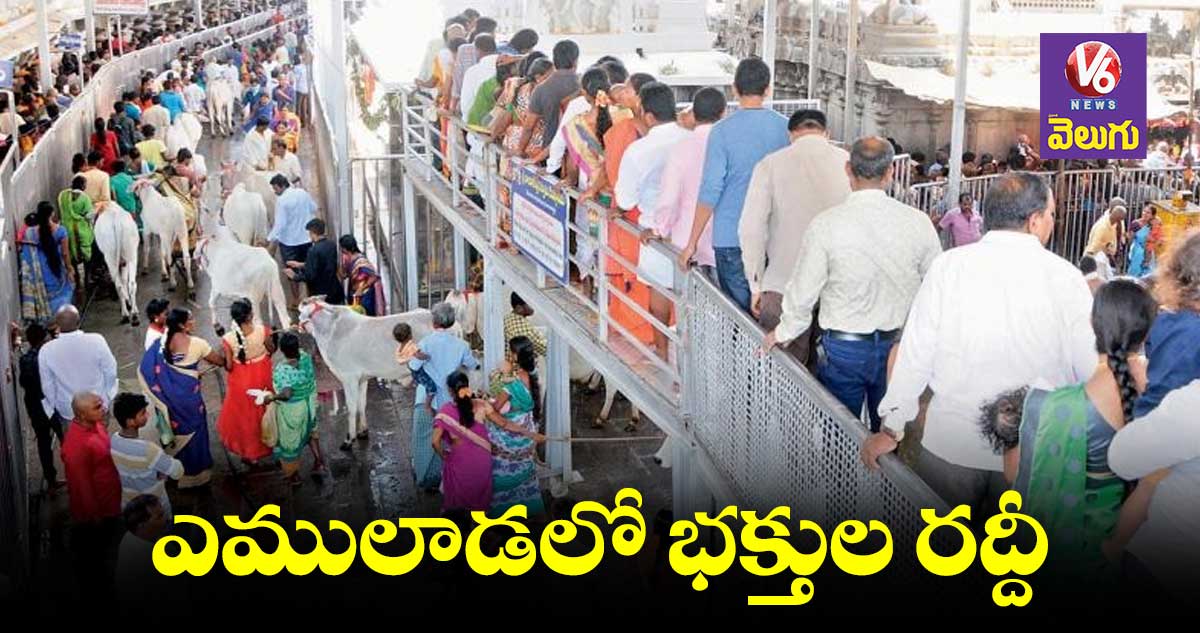 వేములవాడ రాజన్న సన్నిధిలో పోటెత్తిన భక్తులు