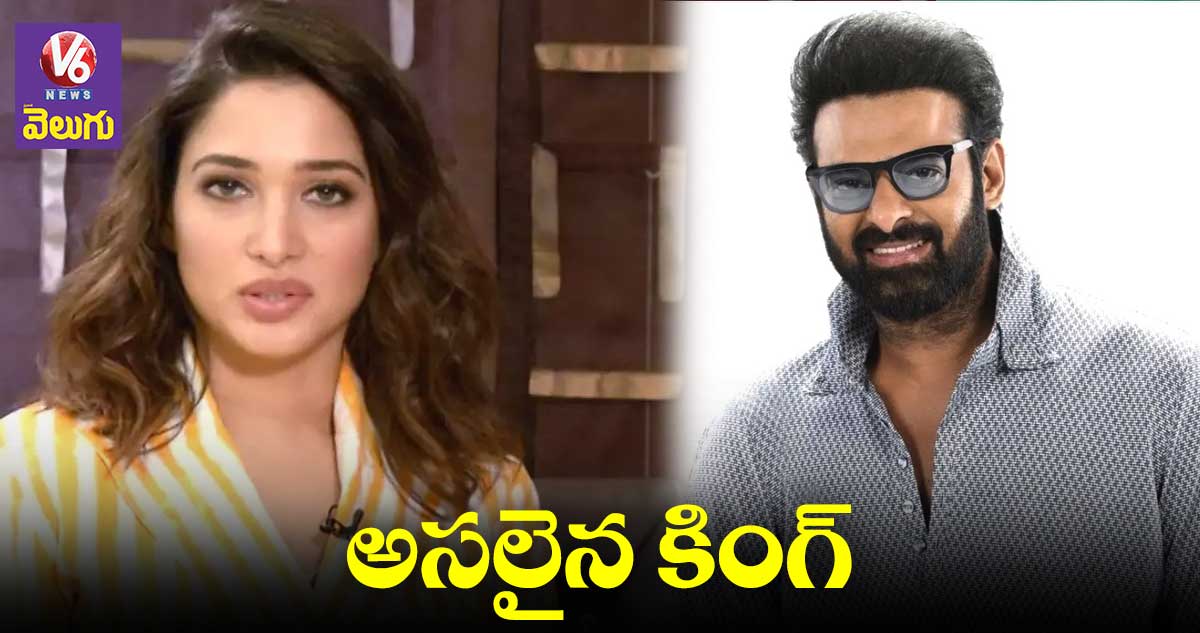 Prabhas: ప్రభాస్ అసలైన రాజు.. తమన్న ప్రశంసలు