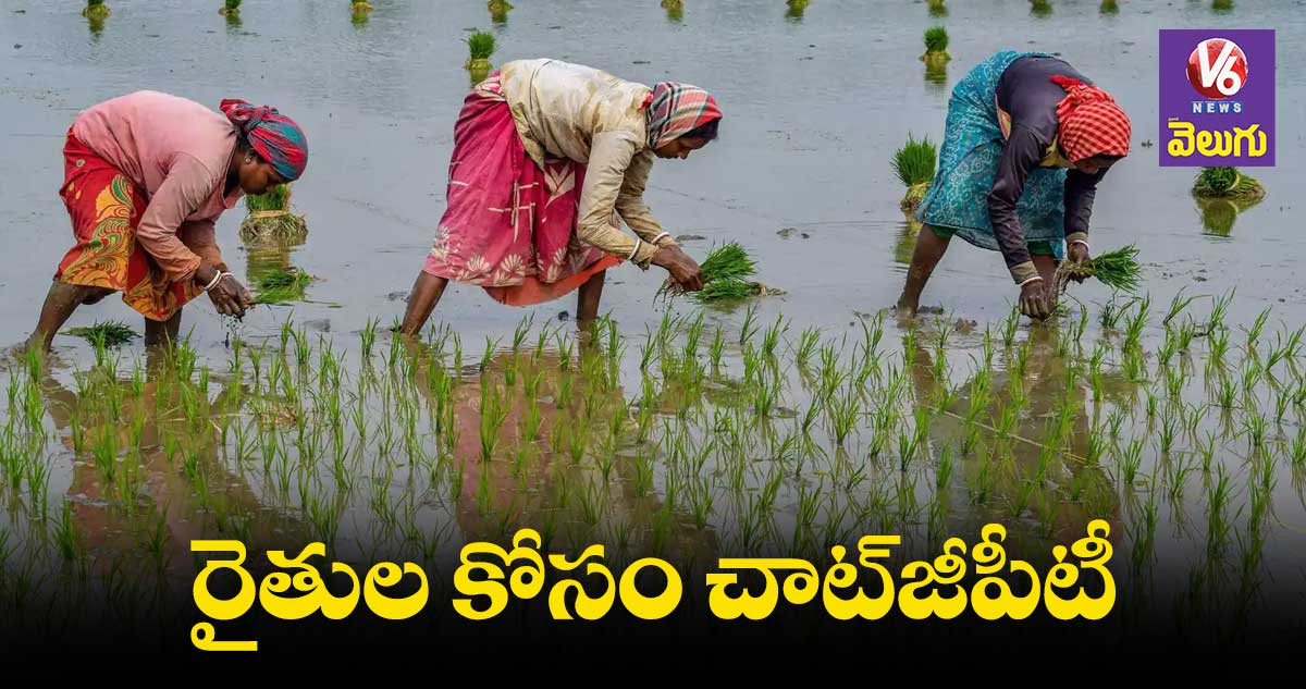 Chat GPT: కేంద్రం కీలక నిర్ణయం.. రైతులకోసం చాట్జీపీటీ