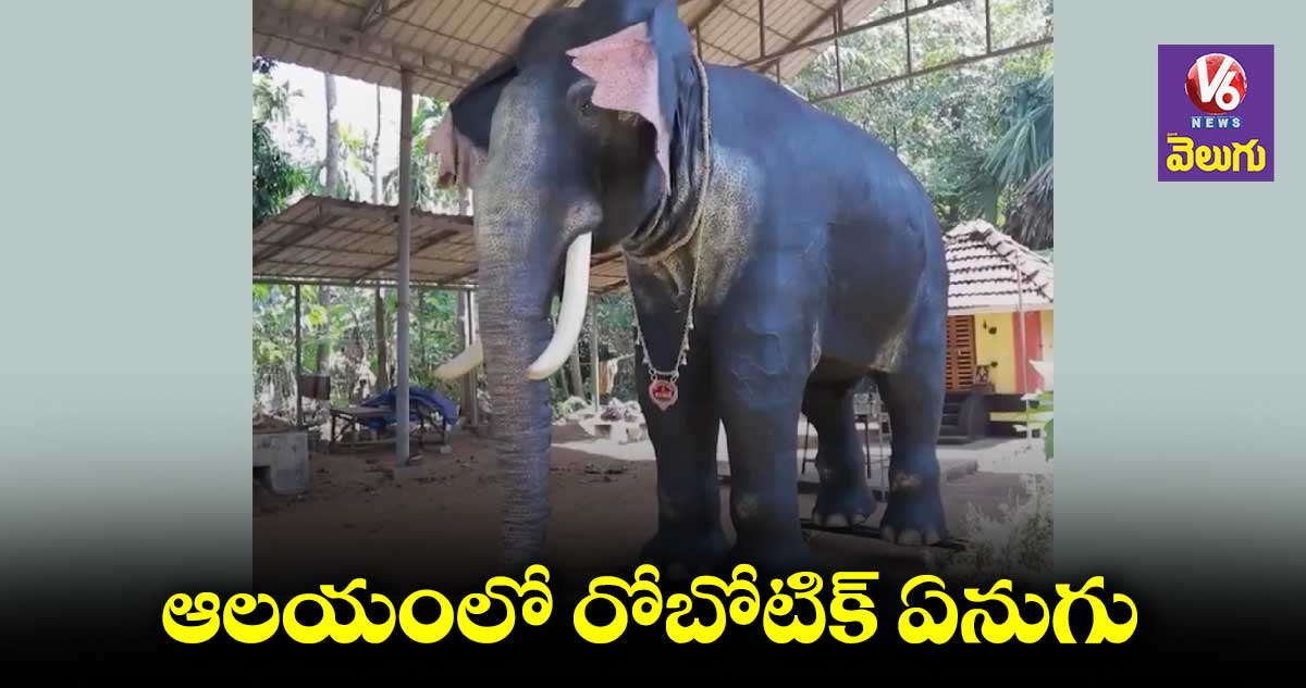 గుడిలో రోబో ఏనుగు వచ్చేసింది