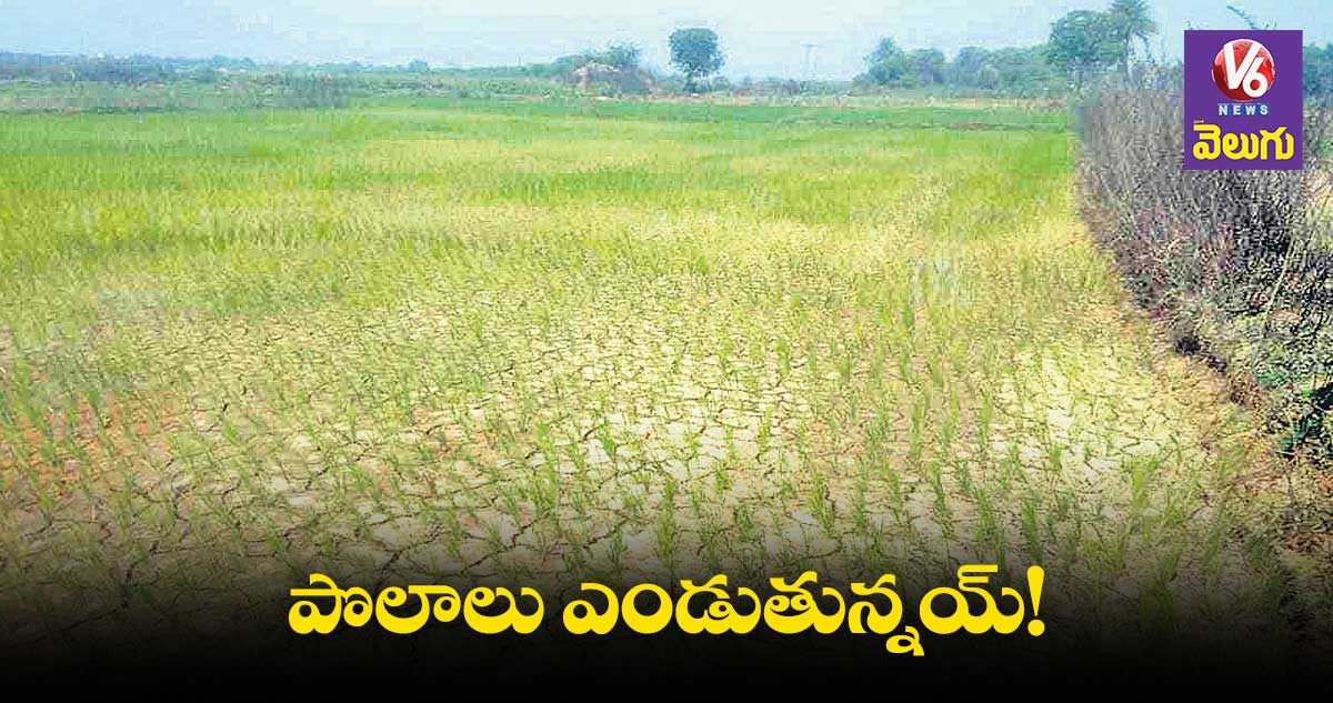 ఊర్లకు అందని సాగు నీరు.. ఆందోళనలో రైతన్నలు