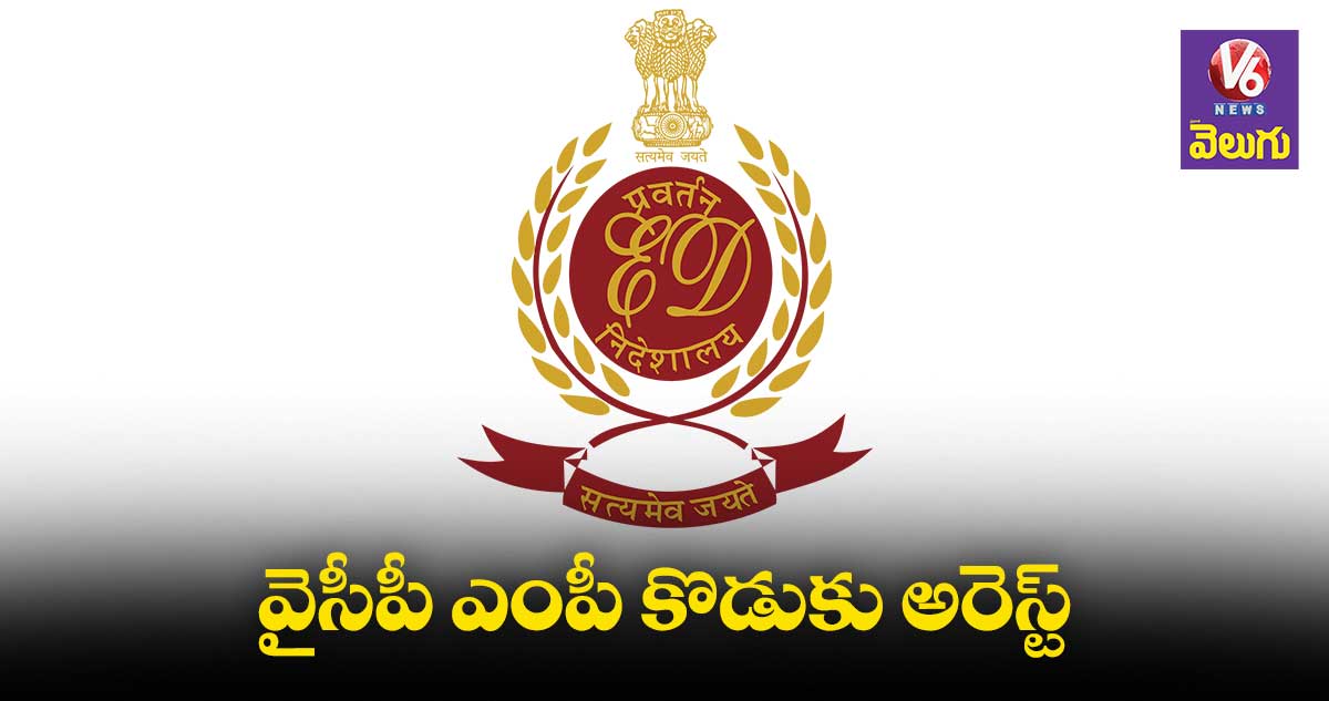ఢిల్లీ లిక్కర్ స్కాం : వైసీపీ ఎంపీ కొడుకు అరెస్ట్