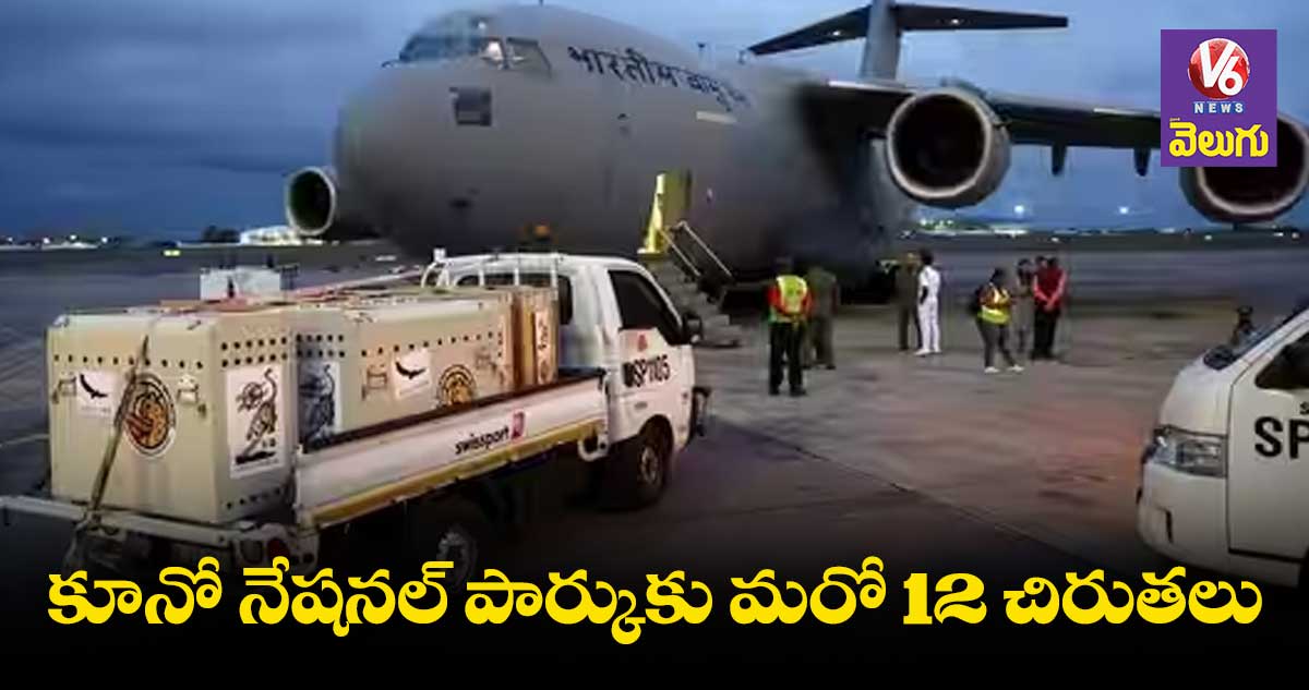 సౌతాఫ్రికా నుంచి భారత్⁬కు చేరుకున్న 12 చీతాలు