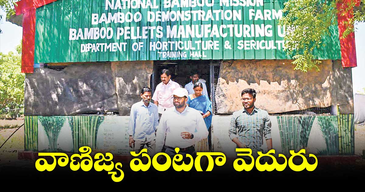 వాణిజ్య పంటగా వెదురు.. కేరళ తరహా మిషన్ బాంబూ