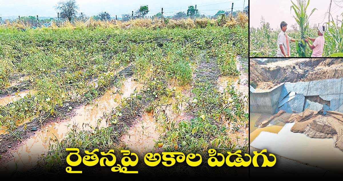 మెతుకు సీమను ముంచిన అకాల వర్షాలు