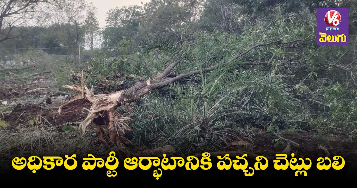అధికార పార్టీ ఆర్భాటానికి పచ్చని చెట్లు బలి