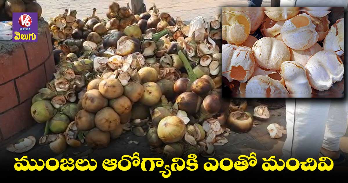 వేసవిలో ఆరోగ్యానికి మేలు చేసే తాటి ముంజలు
