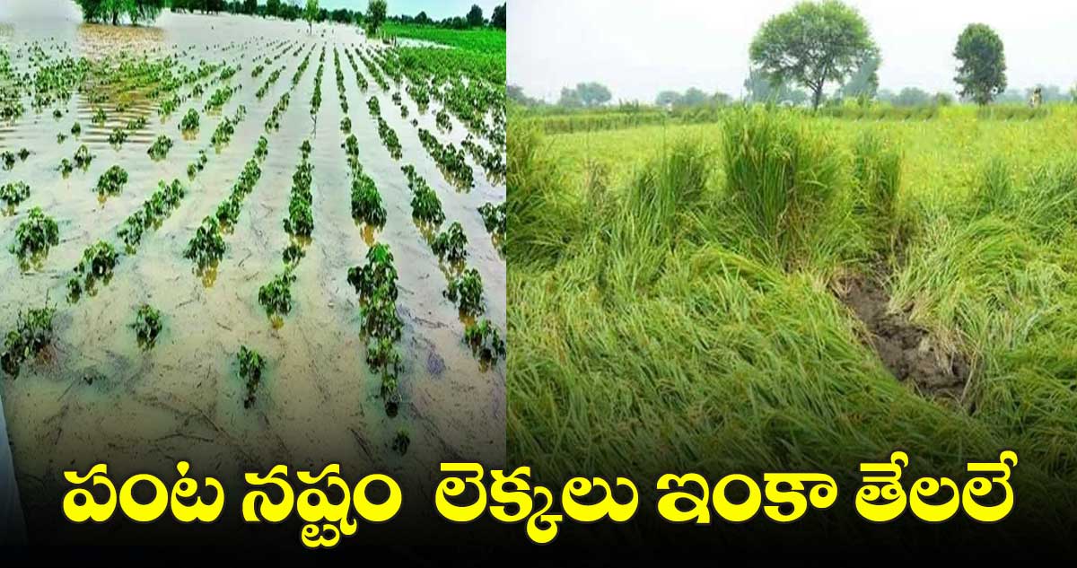 పంట నష్టం లెక్కలు ఇంకా తేలలే.. కలెక్టర్లకు అందని నివేదికలు