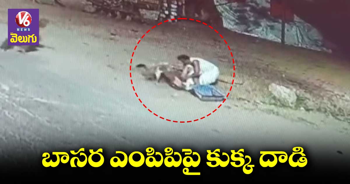 బాసర ఎంపిపిపై కుక్క దాడి