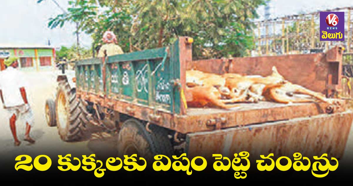 20 కుక్కలకు విషం పెట్టి చంపిన్రు