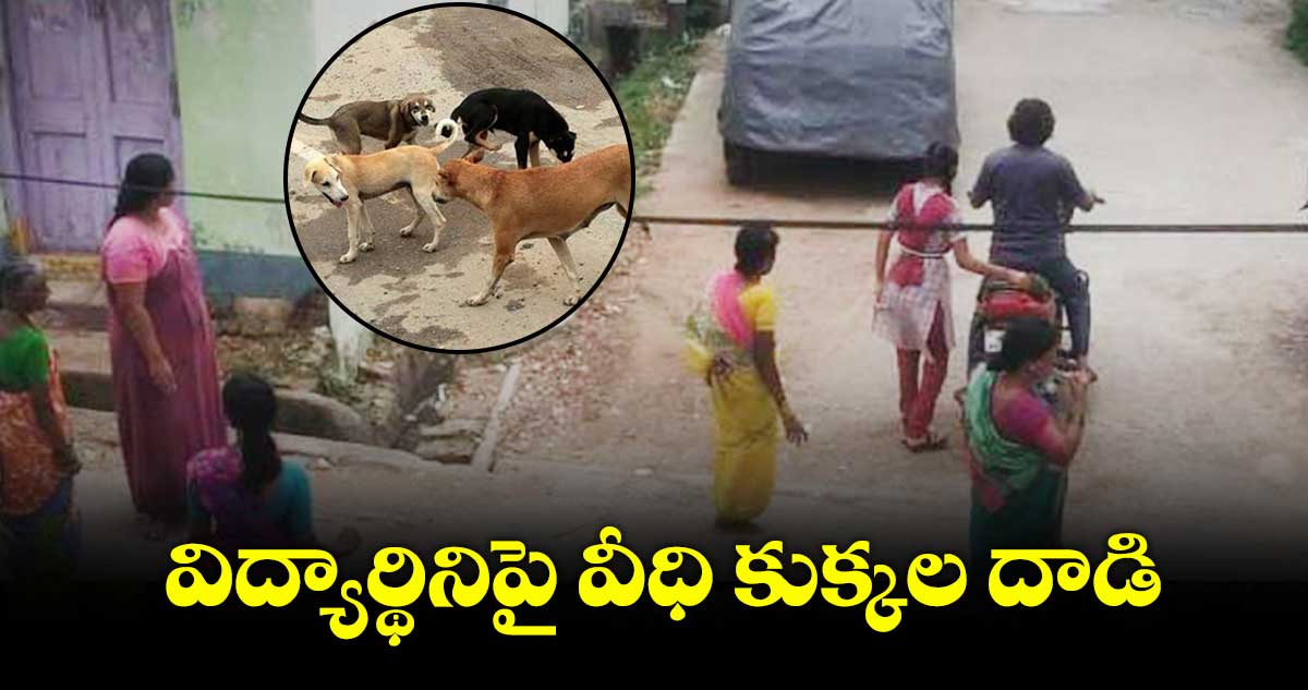 విద్యార్థినిపై వీధి కుక్కల దాడి