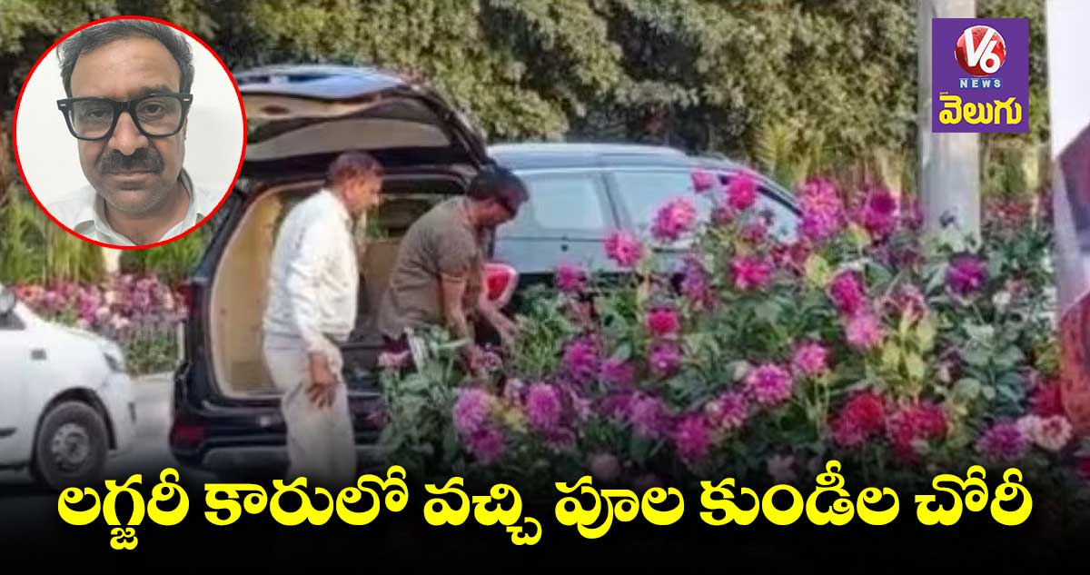 ఢిల్లీలో ఘటన.. లగ్జరీ కారులో వచ్చి పూల కుండీల చోరీ
