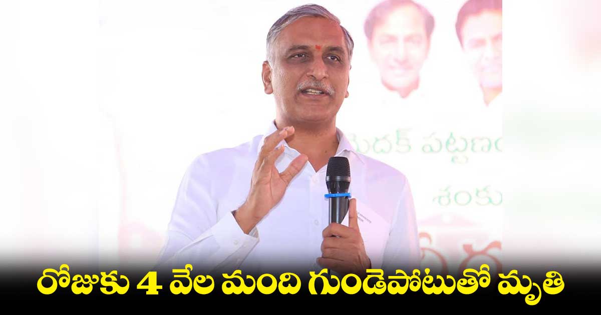 ఏడాదికి 15 లక్షల మంది చనిపోతున్నారు : మంత్రి హరీశ్