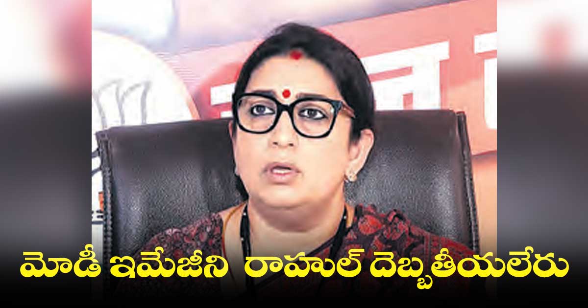 రాహుల్కు మోడీపై ఉన్న ద్వేషం.. దేశంపై ద్వేషంగా మారింది
