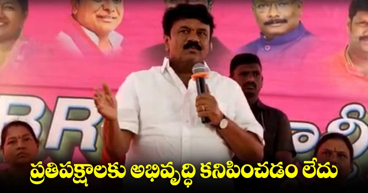 ప్రతిపక్షాల ఆరోపణలు అర్ధరహితం : మంత్రి తలసాని